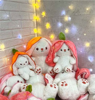 عروسک سوپرایزی خرگوش زیپ‌دار-با جدیدترین و بهترین مدل‌های عروسک سوپرایزی، ویژگی‌ها، مزایا و راهنمای خرید آشنا شوید و انتخابی هیجان‌انگیز برای هدیه داشته باشید.